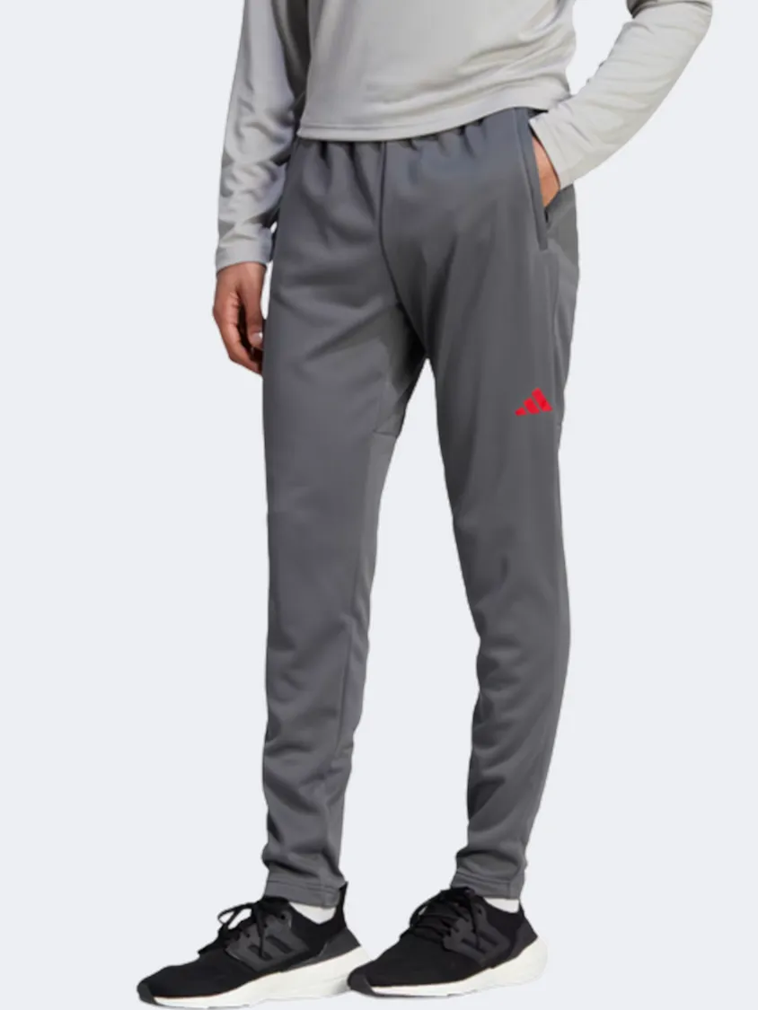 Adidas Essentials Men Training Pant Grey/Better Scarlet