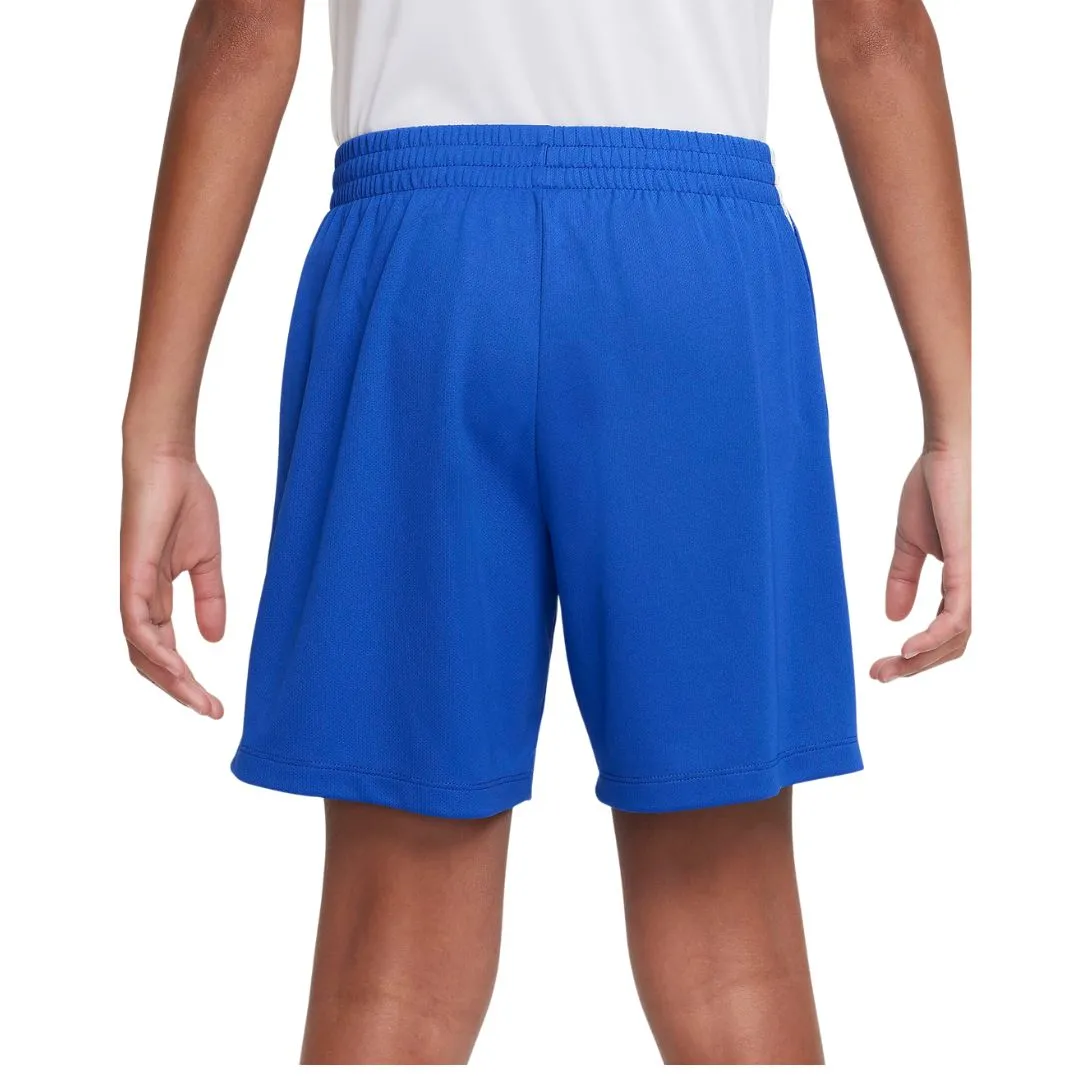 Dri-FIT Multi Shorts