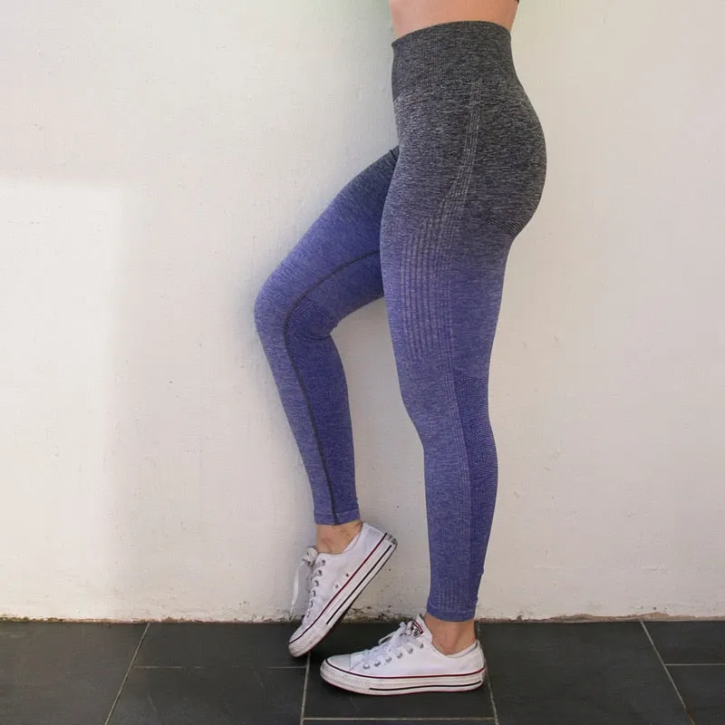 Women Ombre Seamless Leggings